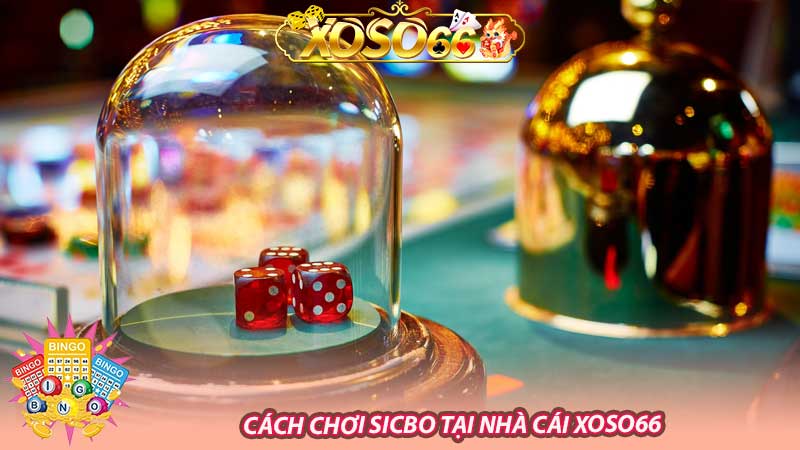 Cách chơi Sicbo tại nhà cái Xoso66