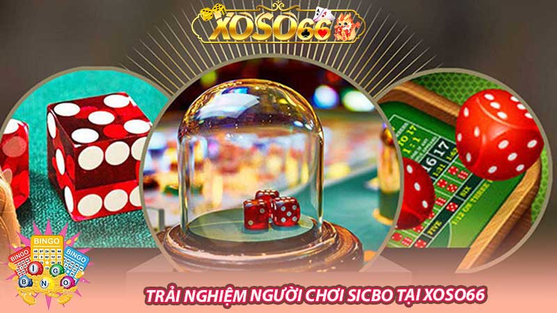 Trải nghiệm người chơi Sicbo tại Xoso66